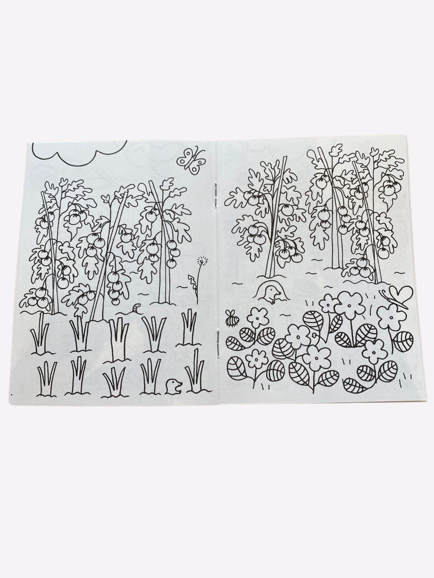 Cahier de Coloriages - Au Jardin